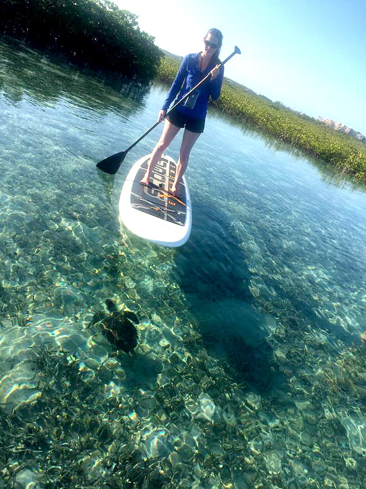 supturtlemangroves_totaladventureco_turksandcaicos-adjusted